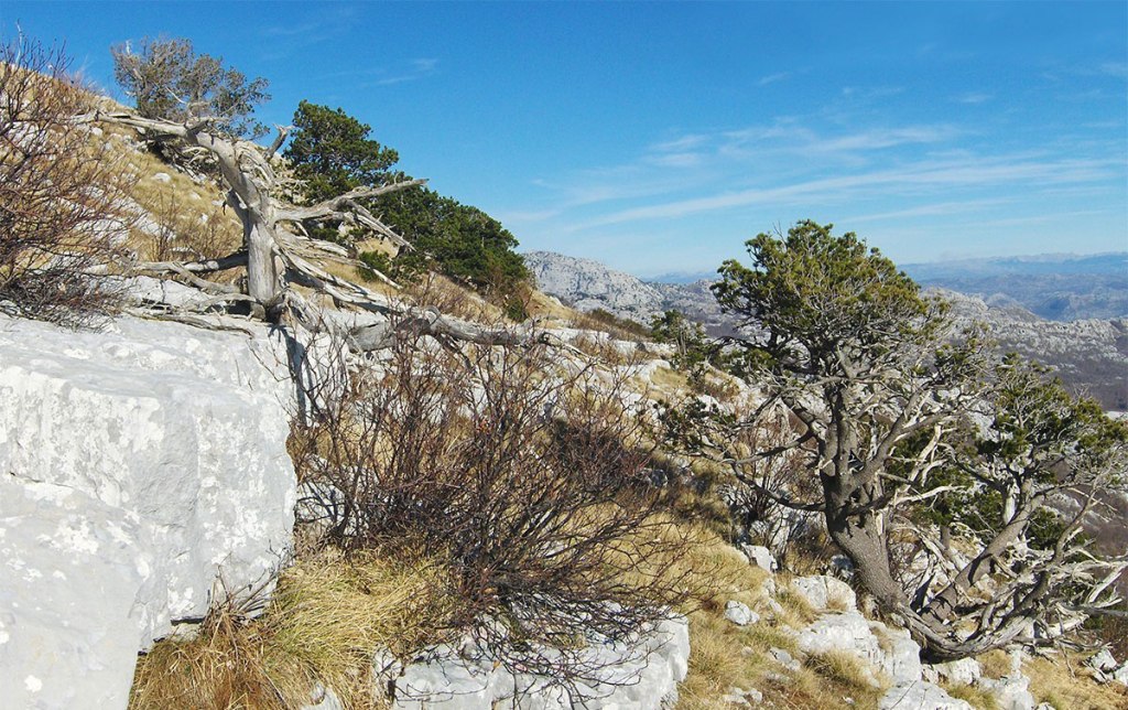 Subrin amfiteatar na Orjenu – PLANINARENJE sa Bracom Babićem