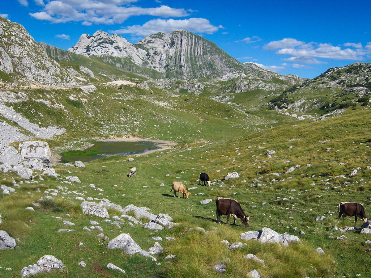 Vrh Prutaš na&nbsp;Durmitoru