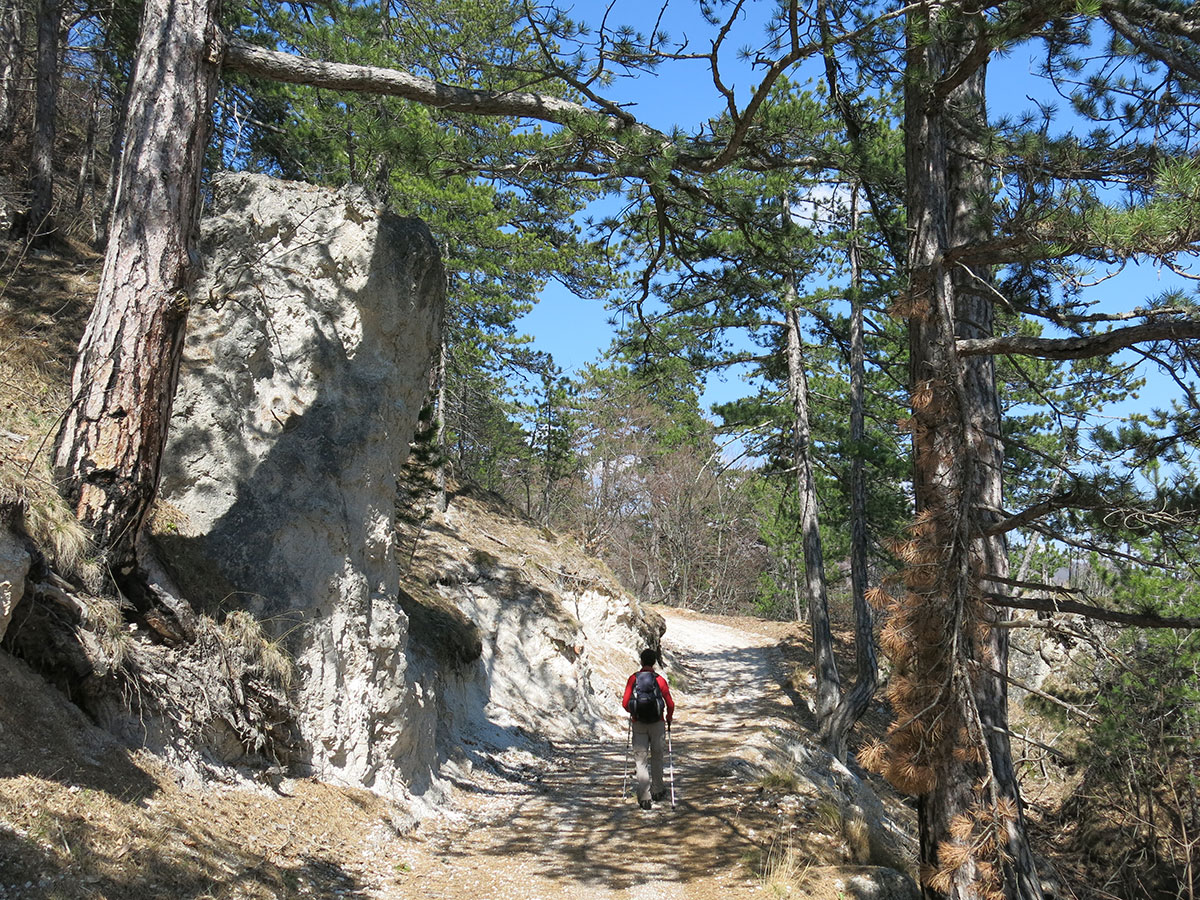 “Svečeva stopa” na&nbsp;Snježnici
