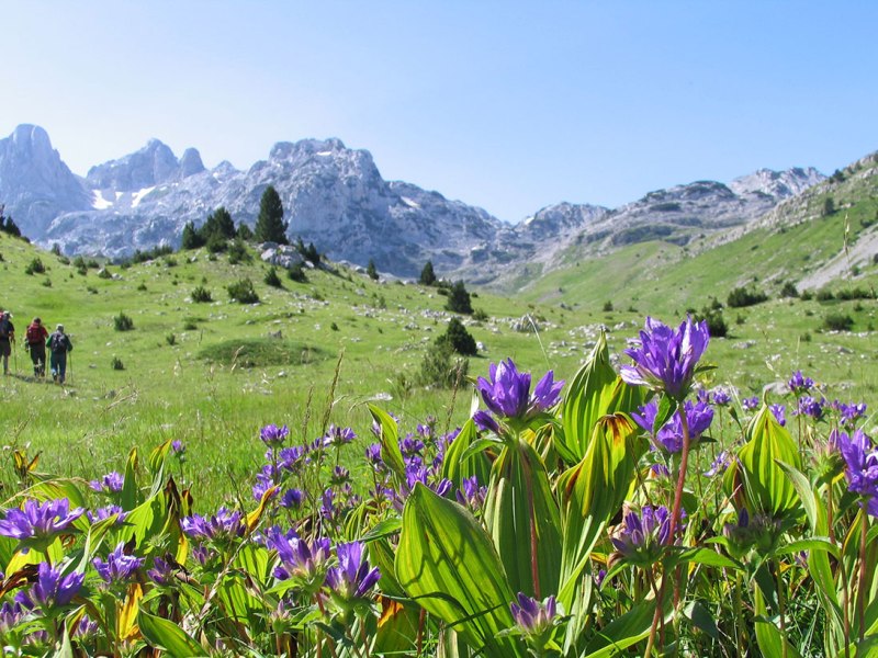 🏔️Outdoor kolekcija BH planine:&nbsp;Prenj